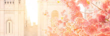 Load image into Gallery viewer, Salt Lake Blossom Glow
