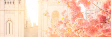 Load image into Gallery viewer, Salt Lake Blossom Glow
