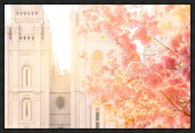 Load image into Gallery viewer, Salt Lake Blossom Glow
