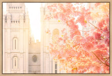 Load image into Gallery viewer, Salt Lake Blossom Glow
