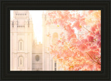 Load image into Gallery viewer, Salt Lake Blossom Glow
