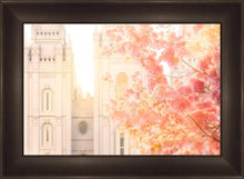 Load image into Gallery viewer, Salt Lake Blossom Glow
