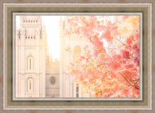 Load image into Gallery viewer, Salt Lake Blossom Glow
