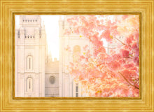 Load image into Gallery viewer, Salt Lake Blossom Glow
