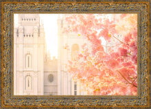 Load image into Gallery viewer, Salt Lake Blossom Glow

