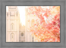 Load image into Gallery viewer, Salt Lake Blossom Glow
