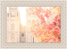 Load image into Gallery viewer, Salt Lake Blossom Glow
