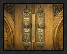 Load image into Gallery viewer, Salt Lake Eternal Doors
