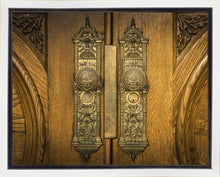 Load image into Gallery viewer, Salt Lake Eternal Doors
