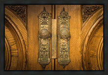Load image into Gallery viewer, Salt Lake Eternal Doors
