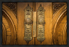 Load image into Gallery viewer, Salt Lake Eternal Doors
