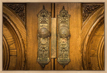Load image into Gallery viewer, Salt Lake Eternal Doors
