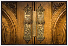 Load image into Gallery viewer, Salt Lake Eternal Doors
