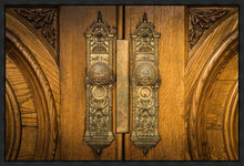 Load image into Gallery viewer, Salt Lake Eternal Doors
