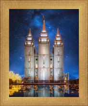 Load image into Gallery viewer, Salt Lake Starry Night
