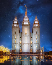 Load image into Gallery viewer, Salt Lake Starry Night
