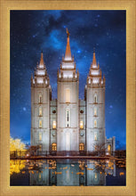 Load image into Gallery viewer, Salt Lake Starry Night
