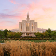 Load image into Gallery viewer, Oquirrh Grassy Morning
