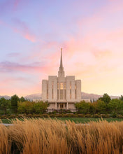 Load image into Gallery viewer, Oquirrh Grassy Morning
