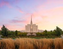 Load image into Gallery viewer, Oquirrh Grassy Morning
