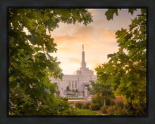 Load image into Gallery viewer, Reno Gardens
