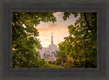 Load image into Gallery viewer, Reno Gardens
