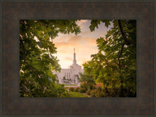 Load image into Gallery viewer, Reno Gardens
