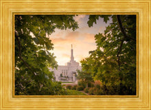 Load image into Gallery viewer, Reno Gardens
