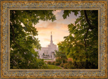 Load image into Gallery viewer, Reno Gardens
