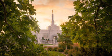 Load image into Gallery viewer, Reno Gardens
