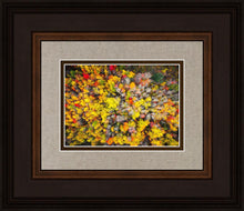 Load image into Gallery viewer, Sacred Grove Autumn From Heaven
