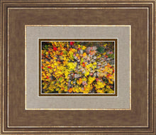 Load image into Gallery viewer, Sacred Grove Autumn From Heaven
