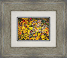 Load image into Gallery viewer, Sacred Grove Autumn From Heaven
