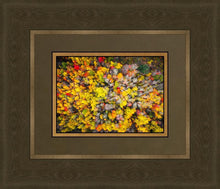 Load image into Gallery viewer, Sacred Grove Autumn From Heaven
