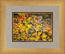 Load image into Gallery viewer, Sacred Grove Autumn From Heaven
