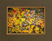 Load image into Gallery viewer, Sacred Grove Autumn From Heaven
