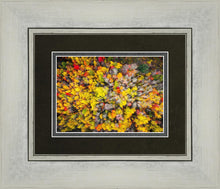 Load image into Gallery viewer, Sacred Grove Autumn From Heaven
