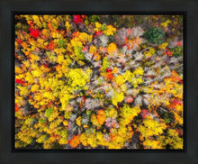 Load image into Gallery viewer, Sacred Grove Autumn From Heaven
