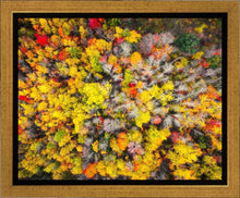 Load image into Gallery viewer, Sacred Grove Autumn From Heaven
