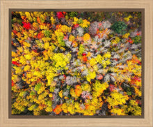 Load image into Gallery viewer, Sacred Grove Autumn From Heaven
