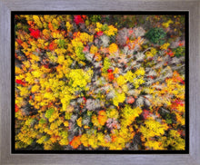Load image into Gallery viewer, Sacred Grove Autumn From Heaven
