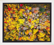 Load image into Gallery viewer, Sacred Grove Autumn From Heaven
