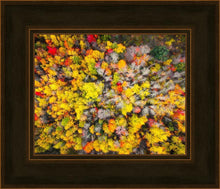 Load image into Gallery viewer, Sacred Grove Autumn From Heaven

