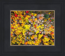 Load image into Gallery viewer, Sacred Grove Autumn From Heaven

