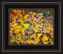 Load image into Gallery viewer, Sacred Grove Autumn From Heaven
