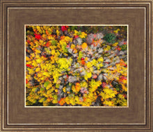 Load image into Gallery viewer, Sacred Grove Autumn From Heaven
