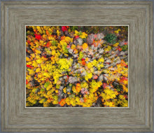 Load image into Gallery viewer, Sacred Grove Autumn From Heaven
