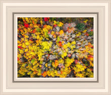 Load image into Gallery viewer, Sacred Grove Autumn From Heaven
