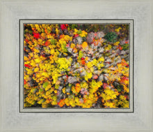 Load image into Gallery viewer, Sacred Grove Autumn From Heaven
