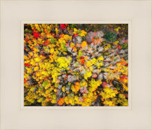 Load image into Gallery viewer, Sacred Grove Autumn From Heaven
